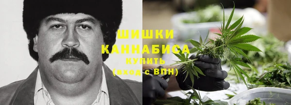 крисы Богданович