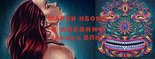ПСИЛОЦИБИНОВЫЕ ГРИБЫ Богородск