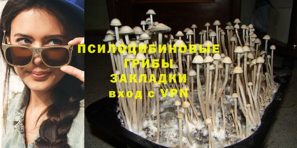 соль курить ск Россошь