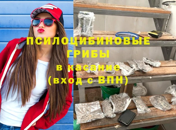 ПСИЛОЦИБИНОВЫЕ ГРИБЫ Богородск
