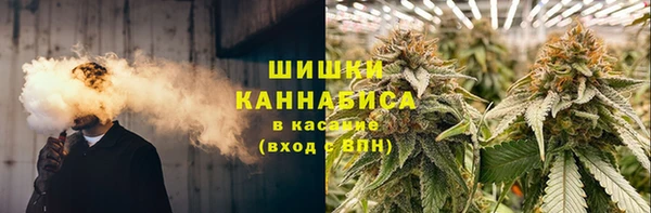 apvp Богородицк