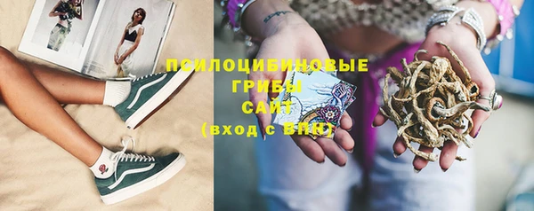 apvp Богородицк