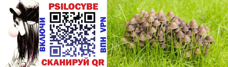 ОМГ ОМГ онион  Среднеуральск  Псилоцибиновые грибы MAGIC MUSHROOMS 