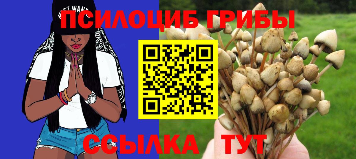 Псилоцибиновые грибы ЛСД  Вход с VPN  Псилоцибиновые грибы мицелий  Среднеуральск 